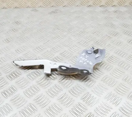 Lexus RX 450H Engine bonnet/hood hinges 5342048150
