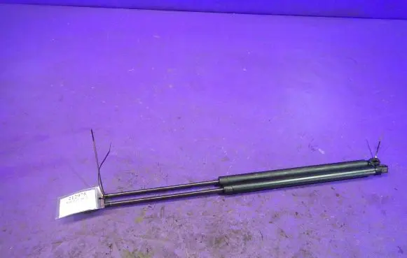 Tailgate strut