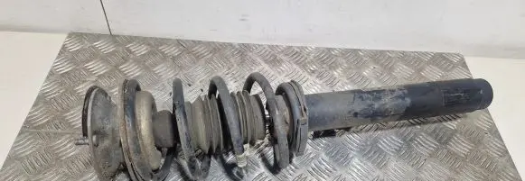 BMW X1 E84 Front shock absorber with coil spring 6855240