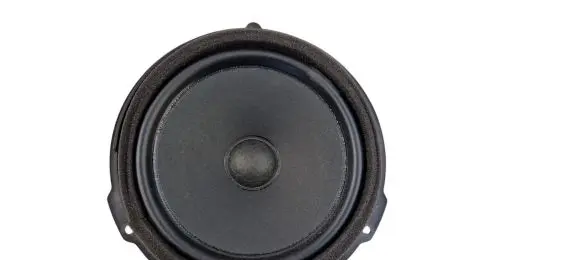 Ford Escape IV Front door speaker ET4T18808 ET4T18808DA DRQFA