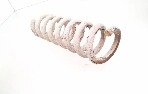 Rear coil spring