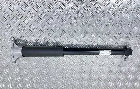 Rear shock absorber/damper