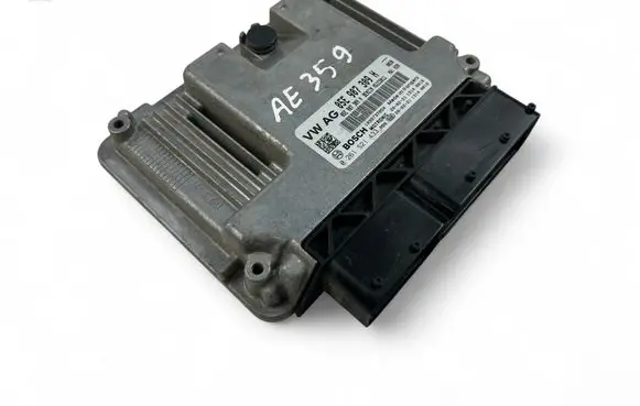 Engine control unit/module ECU