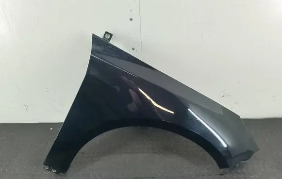 Ford Focus Fender