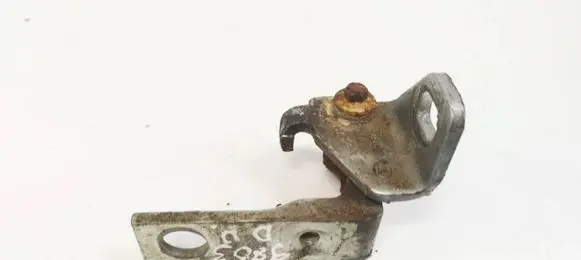 Rear door lower hinge