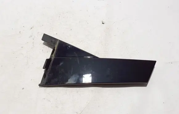 Rear door trim (molding)