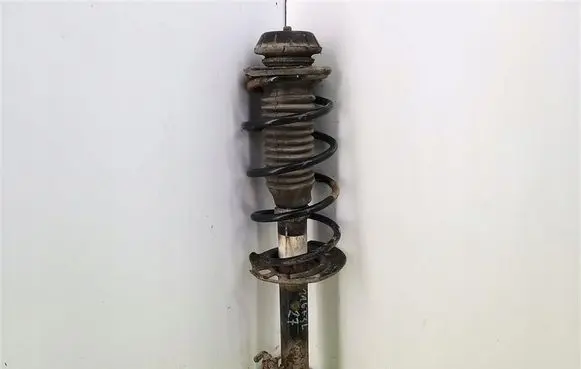 Peugeot 1007 Front shock absorber with coil spring