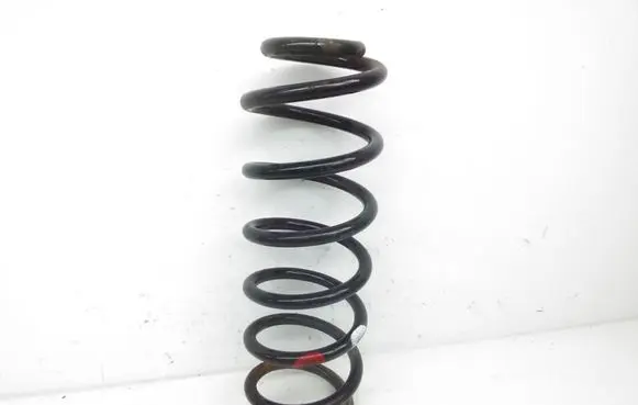 Rear coil spring