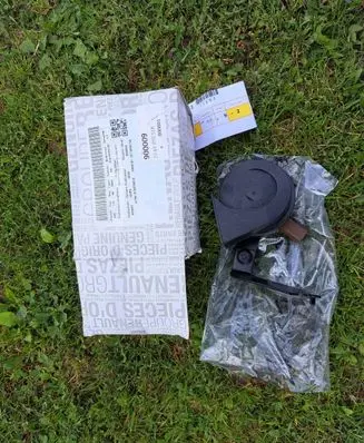 Renault Trafic III (X82) Horn signal 256107051R