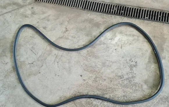 Nissan Leaf I (ZE0) Front door rubber seal 