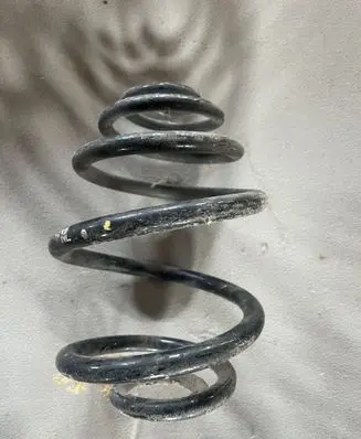 Rear coil spring
