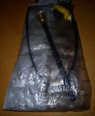 Citroen Jumper Oil level sensor 1131E6