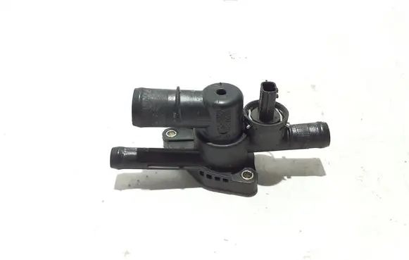 Dacia Sandero III Thermostat 11060968R
