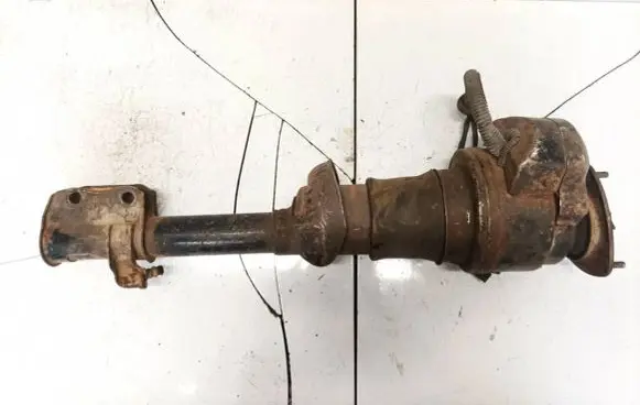 Subaru Legacy Rear shock absorber/damper 20651AC110
