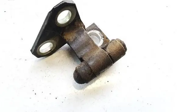 Volkswagen PASSAT B6 Rear door lower hinge 3c4833401d