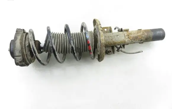 Seat Ibiza III (6L) Front shock absorber with coil spring 