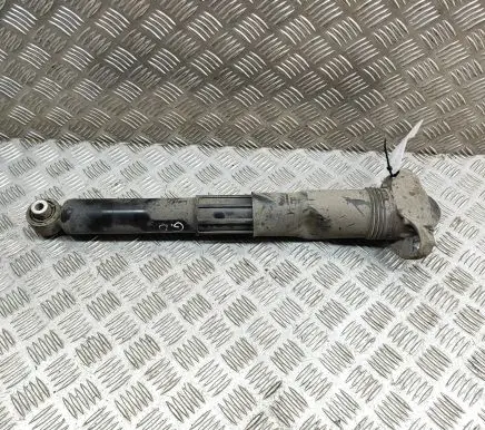 Audi Q4 Sportback e-tron Rear shock absorber/damper 1EA512013BD