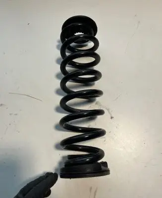 Rear coil spring