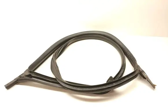 Tesla Model 3 Front door rubber seal 