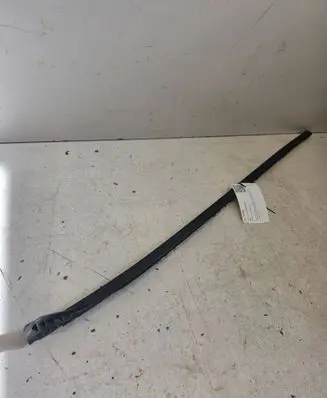 Hyundai Sonata Windshield trim 1234