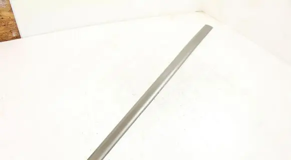 Mercedes-Benz A W169 Front door trim (molding) A1696900562