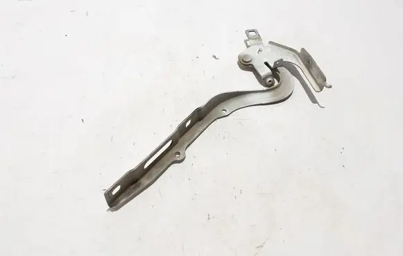 Peugeot Expert Engine bonnet/hood hinges 9823131780