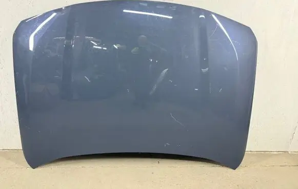 Engine bonnet/hood