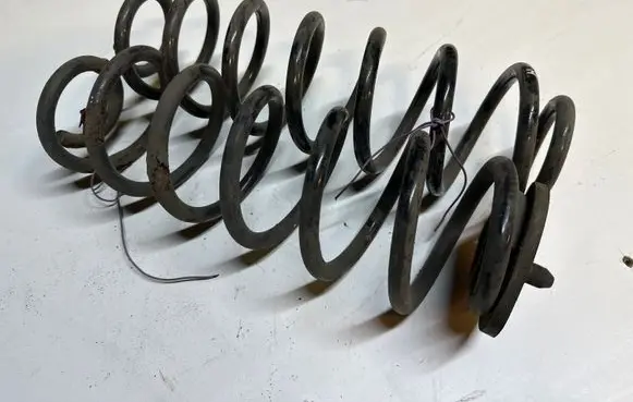 Rear coil spring