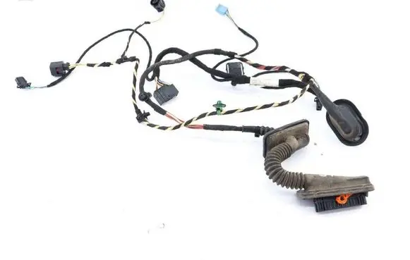 Volkswagen PASSAT CC Rear door wiring loom 3C8971694BP