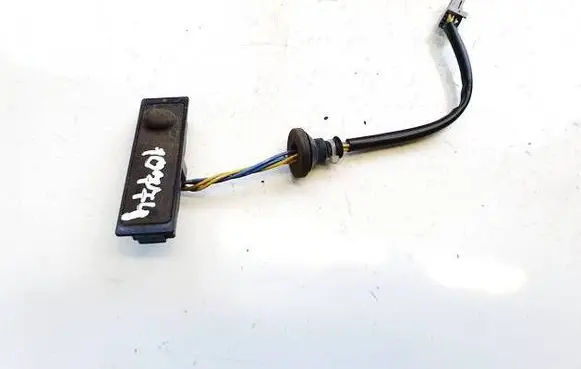 Nissan Leaf I (ZE0) Tailgate/trunk/boot exterior handle 