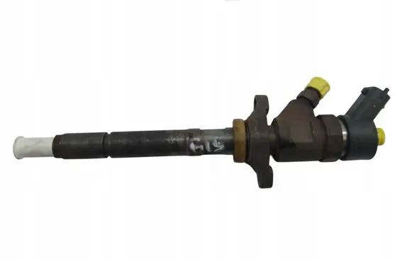 Peugeot 307 Fuel injector 0445110239