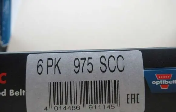 Ford C-MAX I Alternator belt 6PK975SCC