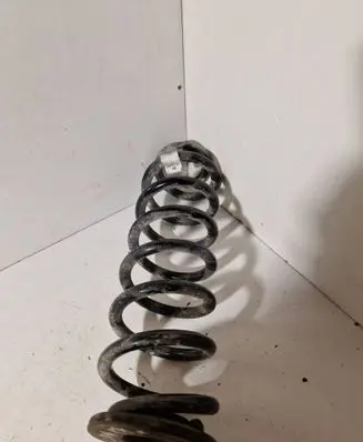 Rear coil spring