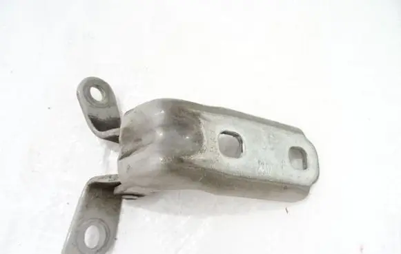 Rear door lower hinge