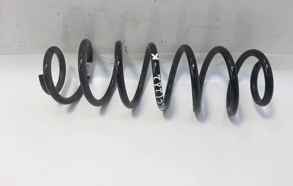 Rear coil spring
