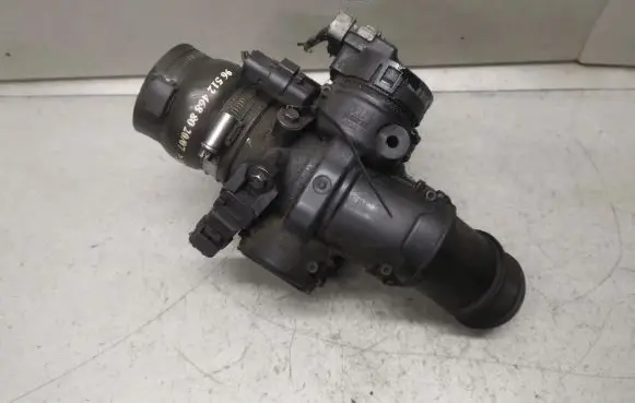 Citroen Berlingo Throttle valve 9660030580