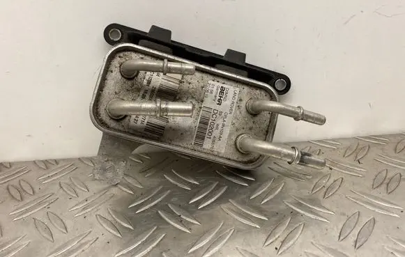 Land Rover Range Rover Sport L494 Fuel cooler (radiator) CPLA9N103AA