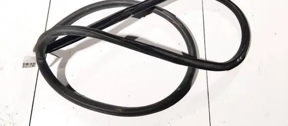Opel Insignia A Rubber seal front coupe door 