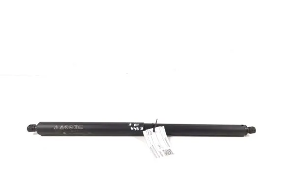 Tailgate strut