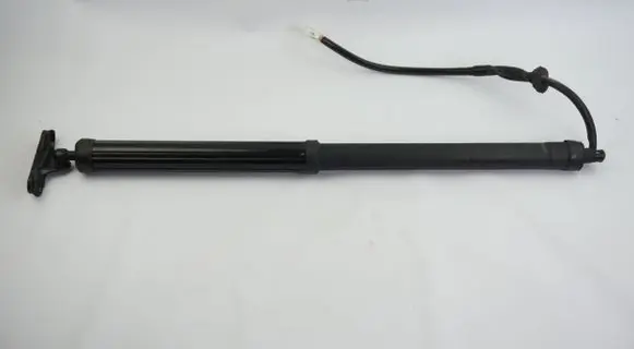 Toyota RAV 4 (XA50) Tailgate strut 6891042060