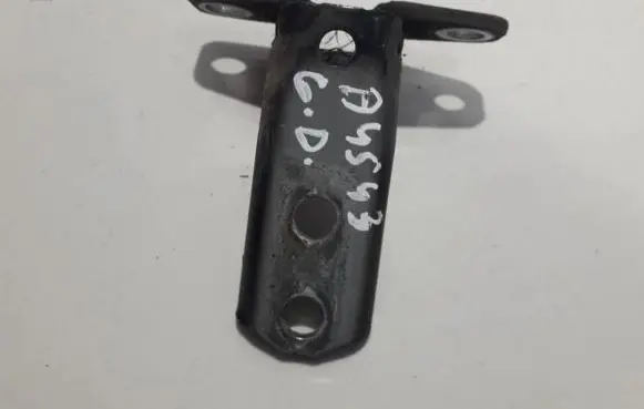 Rear door lower hinge