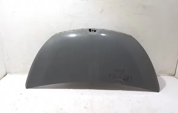 Renault Trafic III (X82) Engine bonnet/hood 651001855R