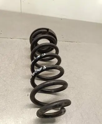 Rear coil spring