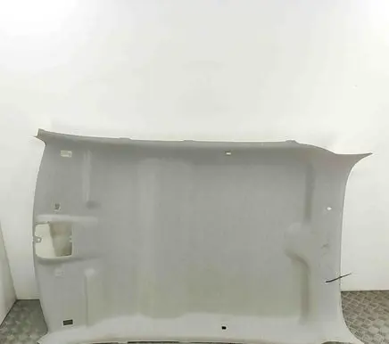 Citroen C3 Headlining 98118572BJ