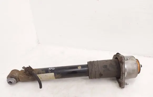 BMW X5 E70 Rear shock absorber/damper 6780497