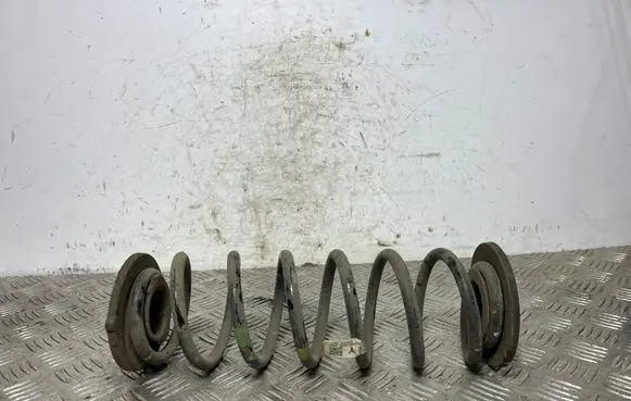 Hyundai Kona I Rear coil spring