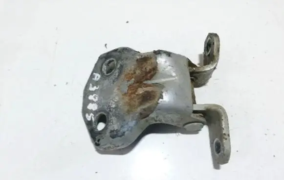 Rear door lower hinge