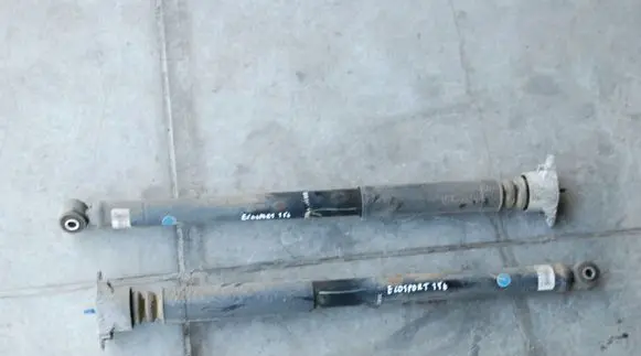 Ford Ecosport Rear shock absorber/damper
