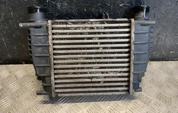 Nissan Juke I F15 Intercooler radiator 14461EM00A
