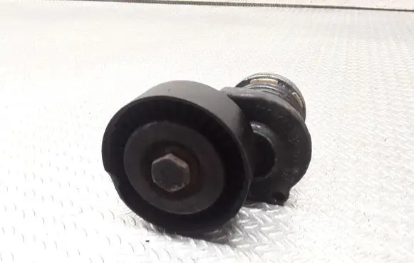 Skoda Octavia Mk2 (1Z) Generator/alternator belt tensioner 038903315AH
